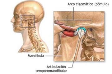Estudio clínico de la articulación temporomandibular